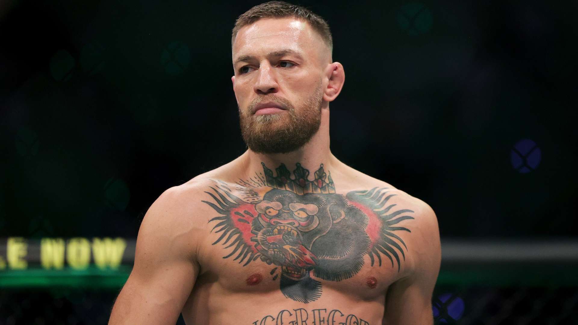 国际赛场上 国际赛场上