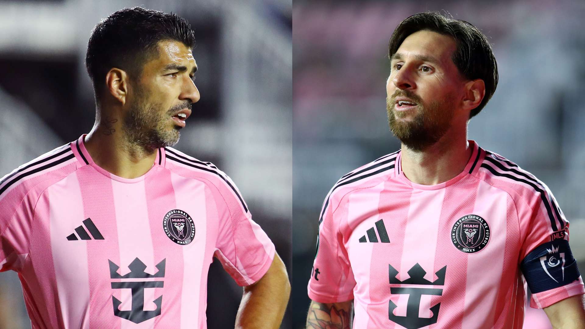 一个典型的 一个典型的